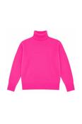 Greeley Turtleneck Jumper image