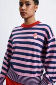 Akita Jumper image