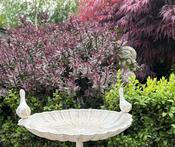Cast Iron Bird Bath - Neat Size — Willow Antiques image