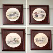 Beautiful Set Of 4 Framed Bird Lithographs — Willow Antiques