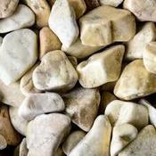 Yellow Venus Pebble image