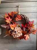 Fallen Leaves image