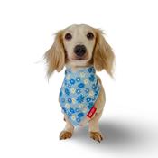 Dog Bandana Popper Style Crazy Daisy by Woof Stuff Dublin Ireland