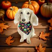 Dog Bandana Halloween Smiling Pumpkins by Woof Stuff Ireland