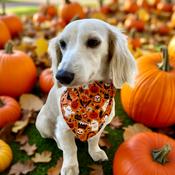 Dog Bandana Halloween Scary Peeps by Woof Stuff Ireland