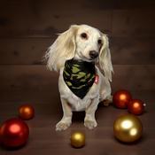 Dog Bandana Camo Tie Style Bandana image