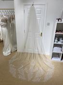Cathedral length vine motif veil image