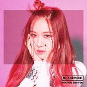 BlackPink Ddu Du Ddu Du (Member Versions) - Rosé
