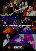 BlackPink In Your Area