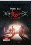 Stray Kids: The dominATE Experience DVD