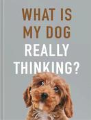 What Is My Dog Really Thinking? Book image