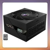 GigaByte GP-AE850PM PG5 850W 80 PLUS Platinum Fully Modular ATX 3.1 PSU