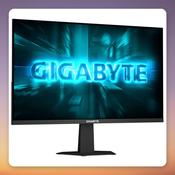 GigaByte GS24F14A 23.8" Full HD IPS Gaming Monitor, 175 Hz OC, FreeSync image