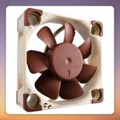 Noctua NF-A4x10 FLX 40 mm 3-pin Fan, Brown/White, 4500 RPM