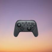 Nintendo Switch Pro Controller image