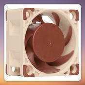Noctua NF-A4x20 PWM 40 mm Case Fan, 5000 RPM, 4-Pin PWM image