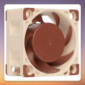 Noctua NF-A4x20 FLX 40 mm 3-Pin Case Fan, 5000 RPM, SSO2 Bearing