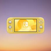Nintendo Switch Lite image