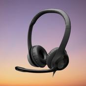 Logitech USB Headset H390 image