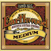 ERNIE BALL EARTHWOOD ACOUSTIC GUITAR STRINGS 13-56 image