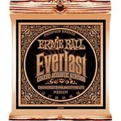 ERNIE BALL EVERLAST PHOSPHOR BRONZE SET 13-56 image
