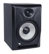 EIKON EK8NF ACTIVE MONITOR SPEAKER image
