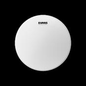 EVANS 10 INCH GENERA G1 COATED DRUMSKIN image
