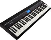 ROLAND GO 61 P DIGITAL PIANO image