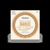 D'ADDARIO J63I MEDIUM 4-STRING BANJO SET, IRISH TENOR