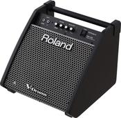 ROLAND PM100 PERSONAL MONITOR