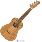 FENDER ZUMA EXOTIC CONCERT UKULELE, SPALTED MAPLE image