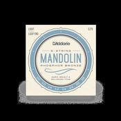 D'ADDARIO MANDOLIN PHOSPHOR BRONZE STRINGS