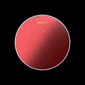 EVANS HYDRALIC RED COATED SNARE BATTER image