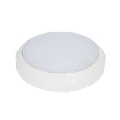 Robus EAGLE 14W LED Surface Fitting image