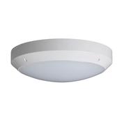 Robus HAWK 10W LED Surface Fitting