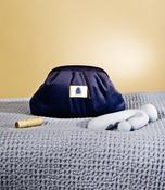 Puissante Vanity Bag