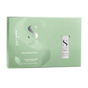 Alfaparf Semi Di Lino Energizing Lotion 12 x 10ml image