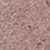 J.Cat Shimmi Struck Shadow Stick - Mesmer-Eyes