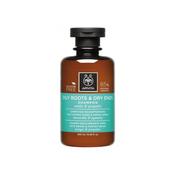 Apivita Oily Roots &amp; Dry Ends Shampoo, Nettle &amp; Propolis 250ml image