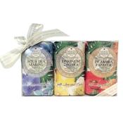 Nesti Dante With Love And Care Gift Set 3x250g image