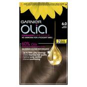 Garnier Olia 6.0 Light Brown Permanent Hair Dye image