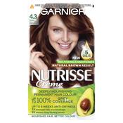 Garnier Nutrisse 4.3 Dark Golden Brown Permanent Hair Dye image